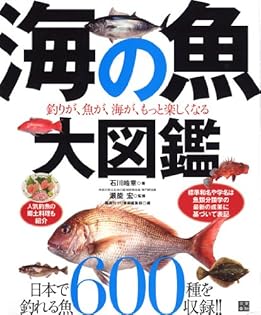 【中古】 詳しく解かるボート釣り入門 楽しい！！釣れる！！気分は船頭さん/大陸書房/石川皓章 中古】 詳しく解かるボート釣り入門 楽しい！！釣れる！！気分は